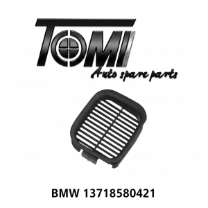 BMW G20 Air Intake Grille | OEM 13718580421