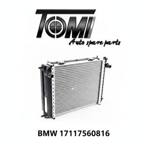 BMW G05/G06/G07 Auxilarry Small Radiator | OEM 17117560816