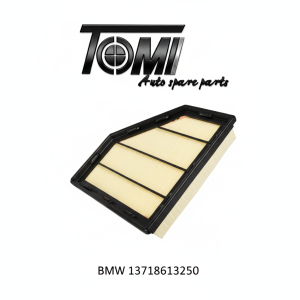 BMW G30/G12/G05/G07 Air Filter | OEM 13718613250