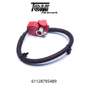 BMW G07 Battery Fuse Cable | OEM 61128795489