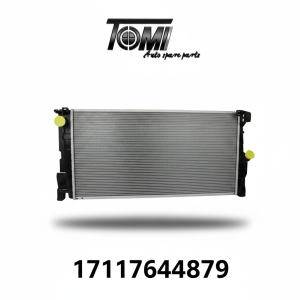 BMW F44 Radiator | OEM 17117644879